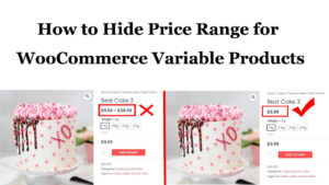 How to Hide Price Range for WooCommerce Variable Products (2 ways) Read more about the article How to Hide Price Range for WooCommerce Variable Products (2 ways)