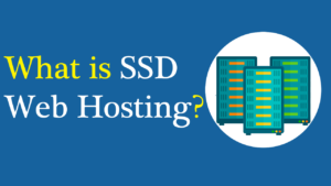 Read more about the article What is SSD Web Hosting? & Top 10 SSD Web Hosts – RealBSG