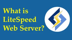 Read more about the article What is LiteSpeed Web Server? All You Need to Know – RealBSG